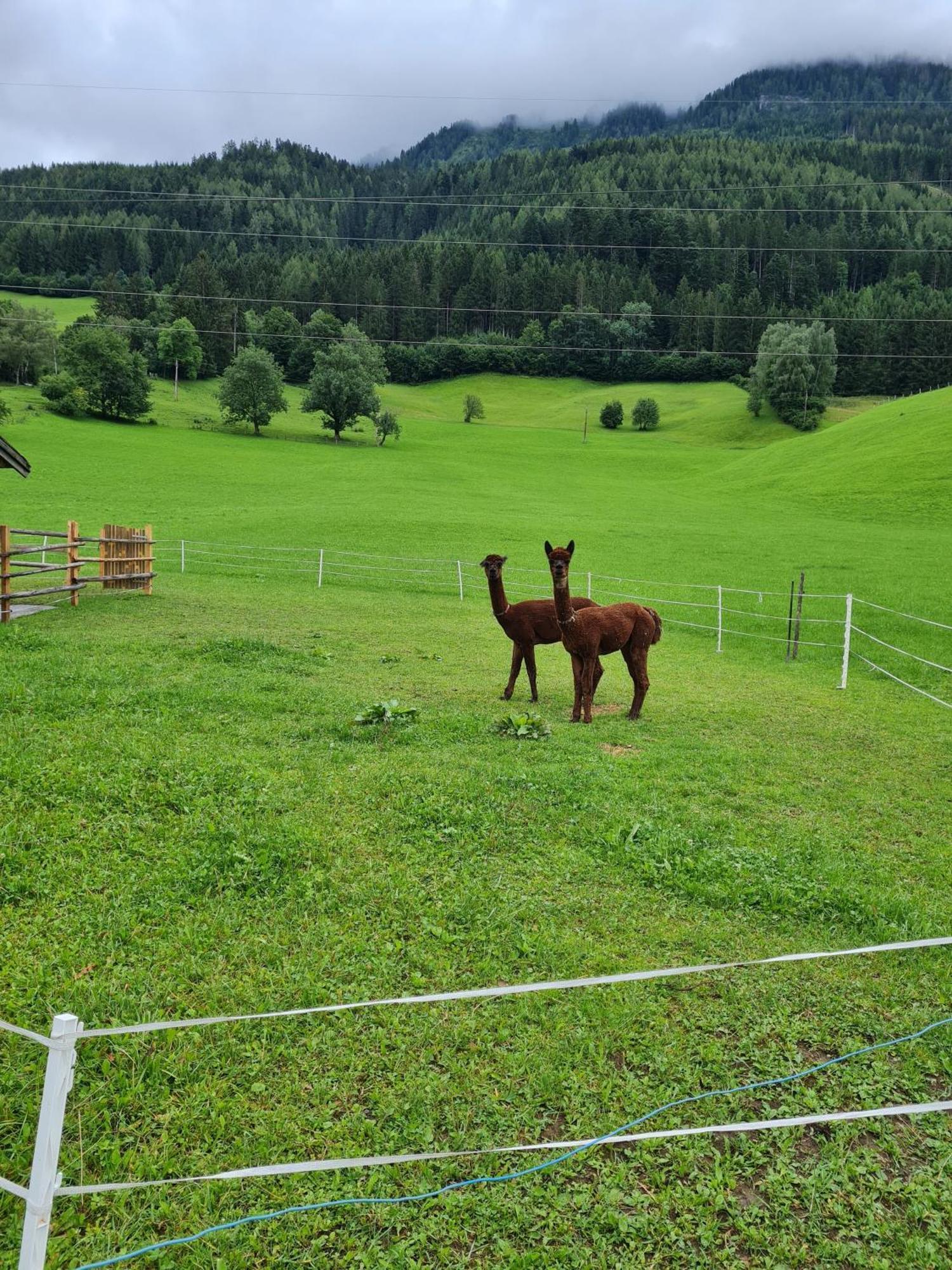 Ferienparadies Taxen Санкт-Файт  Экстерьер фото